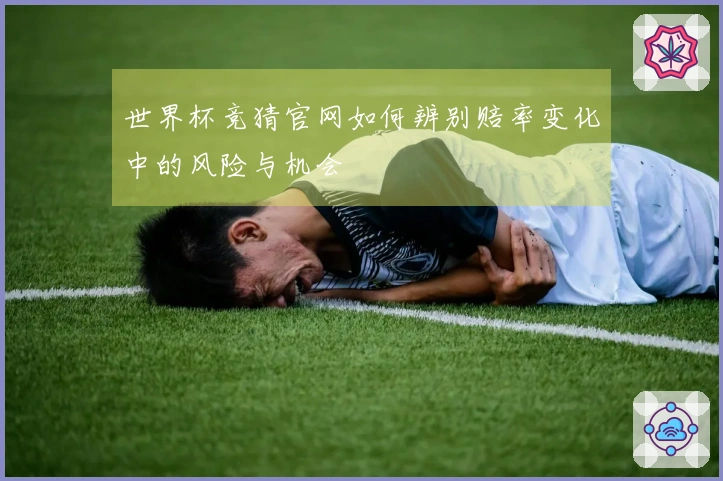 世界杯竞猜官网如何辨别赔率变化中的风险与机会