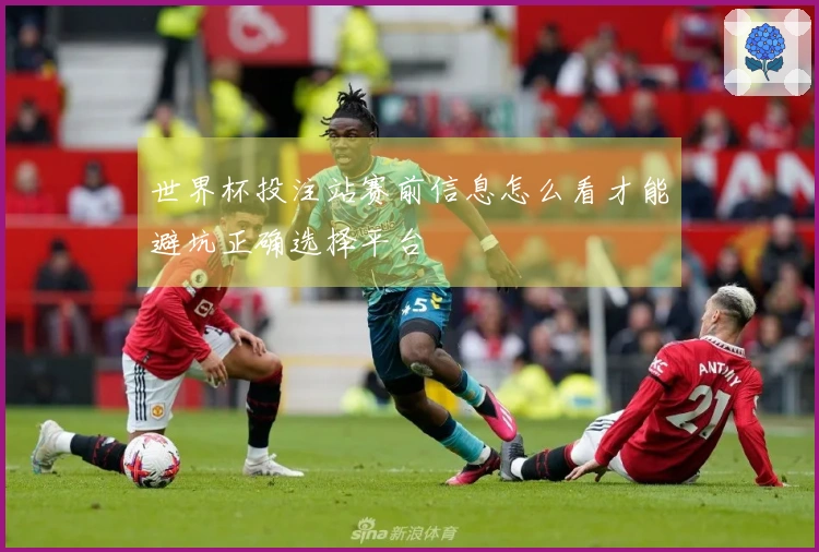 世界杯投注站赛前信息怎么看才能避坑正确选择平台