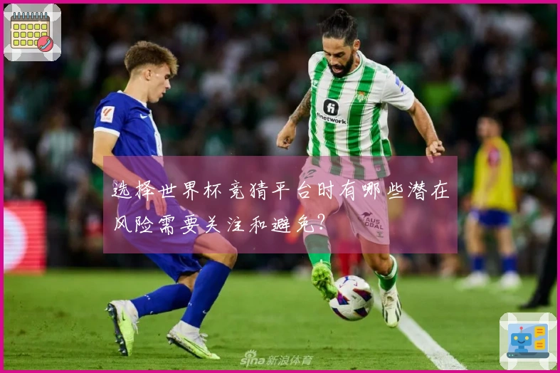选择世界杯竞猜平台时有哪些潜在风险需要关注和避免？