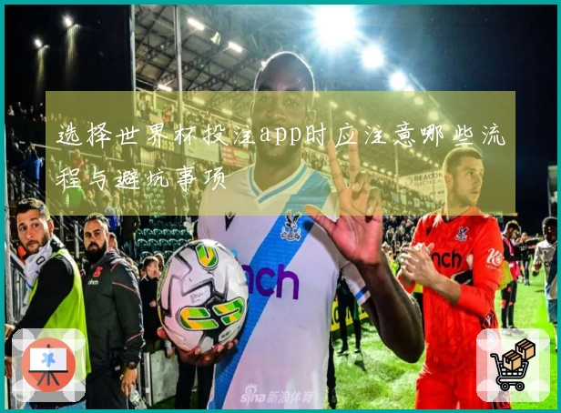 选择世界杯投注app时应注意哪些流程与避坑事项