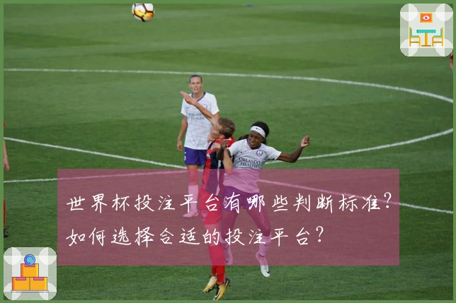 世界杯投注平台有哪些判断标准？如何选择合适的投注平台？