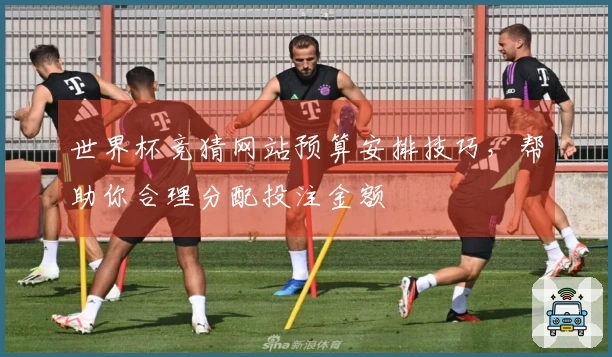 世界杯竞猜网站预算安排技巧，帮助你合理分配投注金额