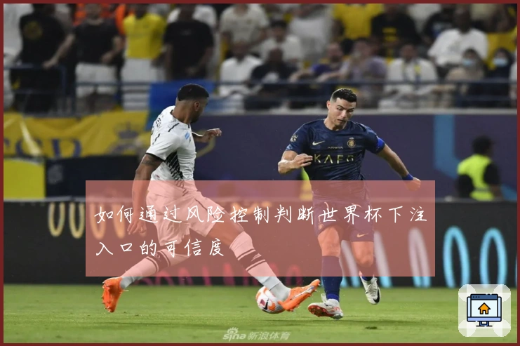 如何通过风险控制判断世界杯下注入口的可信度