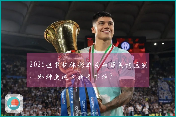 2026世界杯体彩单关和串关的区别,哪种更适合新手下注?