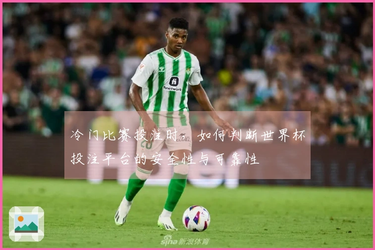 冷门比赛投注时，如何判断世界杯投注平台的安全性与可靠性