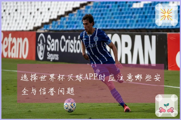 选择世界杯买球APP时应注意哪些安全与信誉问题