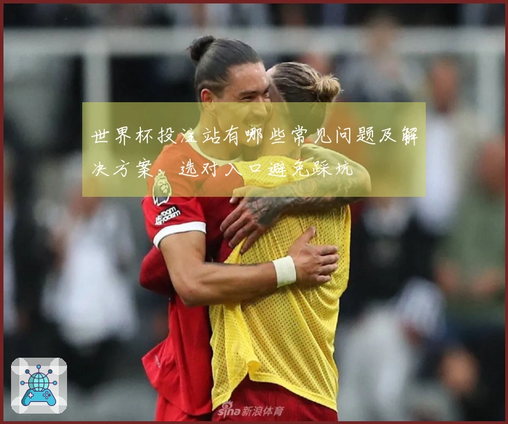 世界杯投注站有哪些常见问题及解决方案，选对入口避免踩坑