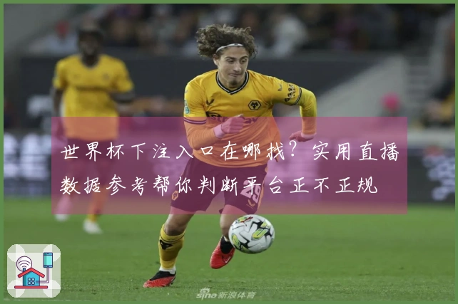 世界杯下注入口在哪找？实用直播数据参考帮你判断平台正不正规