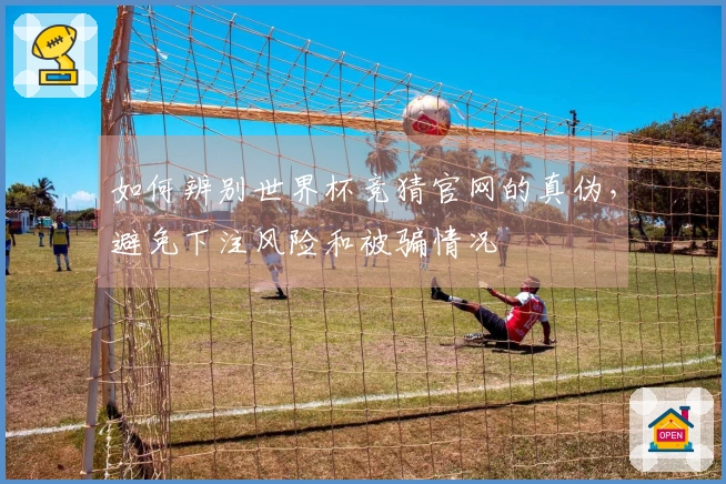 如何辨别世界杯竞猜官网的真伪，避免下注风险和被骗情况