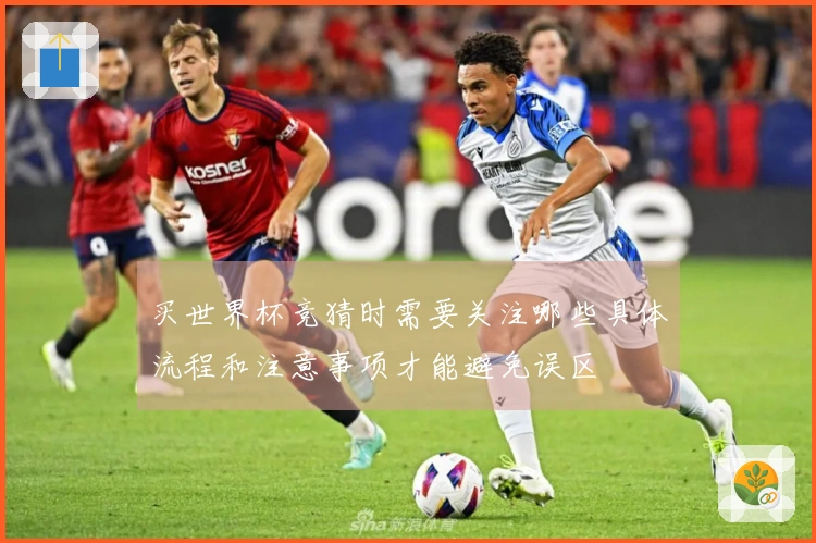 买世界杯竞猜时需要关注哪些具体流程和注意事项才能避免误区