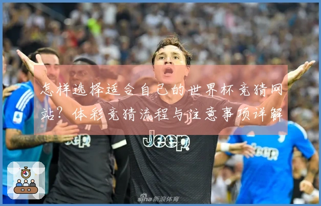 怎样选择适合自己的世界杯竞猜网站？体彩竞猜流程与注意事项详解