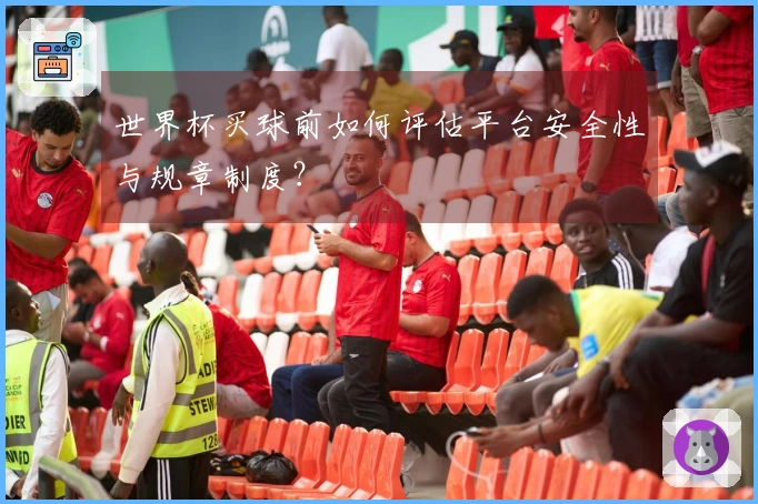 世界杯买球前如何评估平台安全性与规章制度？