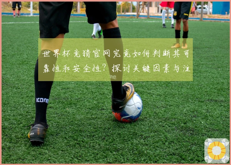 世界杯竞猜官网究竟如何判断其可靠性和安全性？探讨关键因素与注意事项