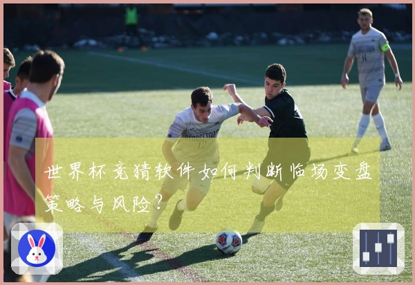 世界杯竞猜软件如何判断临场变盘策略与风险？
