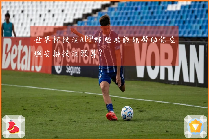 世界杯投注APP哪些功能能帮助你合理安排投注预算？