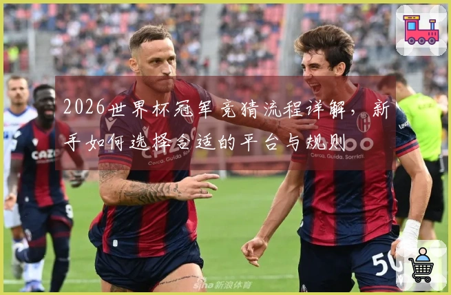 2026世界杯冠军竞猜流程详解，新手如何选择合适的平台与规则