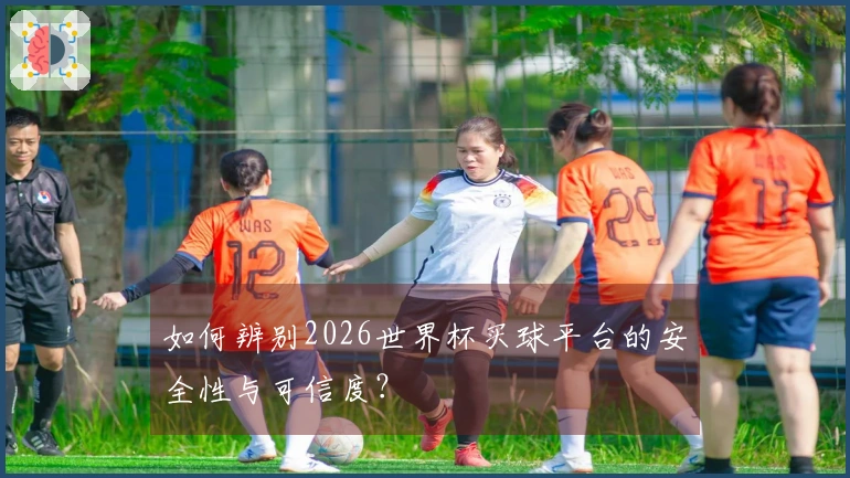 如何辨别2026世界杯买球平台的安全性与可信度？