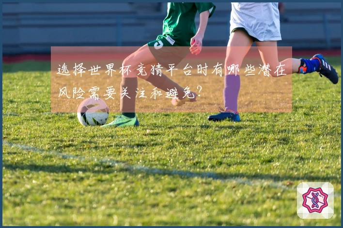 选择世界杯竞猜平台时有哪些潜在风险需要关注和避免？