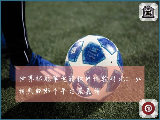 世界杯冠军竞猜软件体验对比：如何判断哪个平台最靠谱