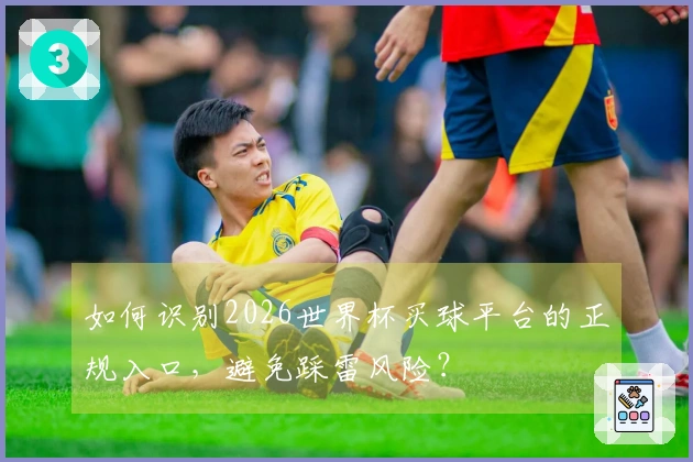 如何识别2026世界杯买球平台的正规入口，避免踩雷风险？