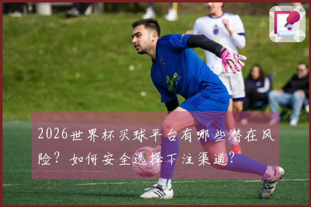 2026世界杯买球平台有哪些潜在风险？如何安全选择下注渠道？