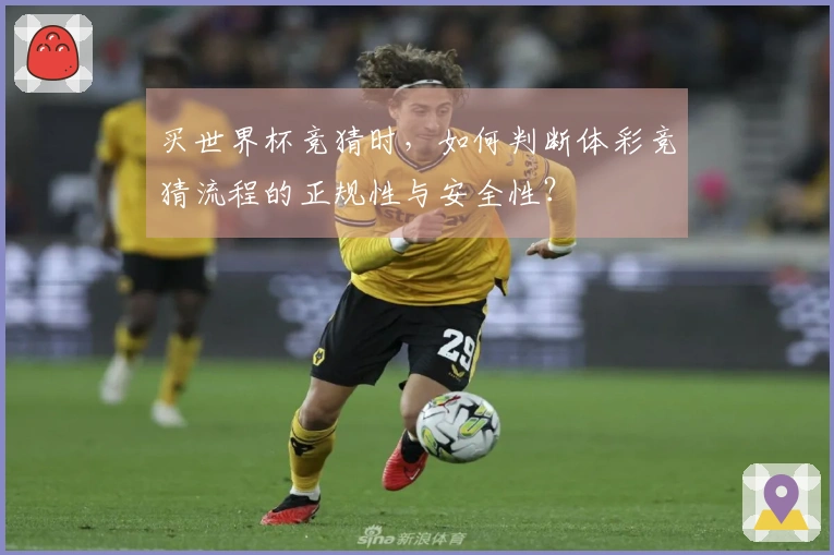 买世界杯竞猜时，如何判断体彩竞猜流程的正规性与安全性？