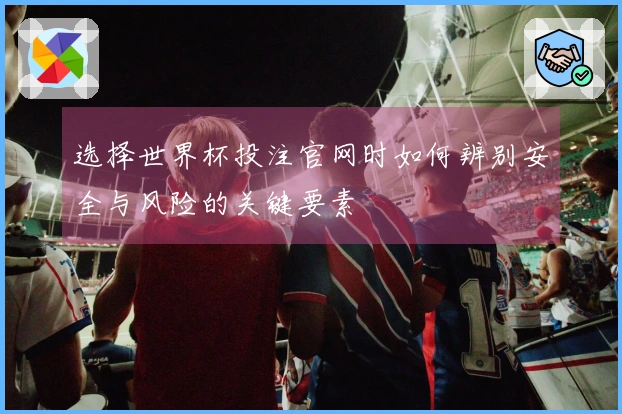选择世界杯投注官网时如何辨别安全与风险的关键要素