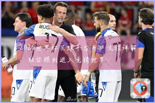 2026世界杯买球平台开户流程详解，助你顺利进入竞猜世界