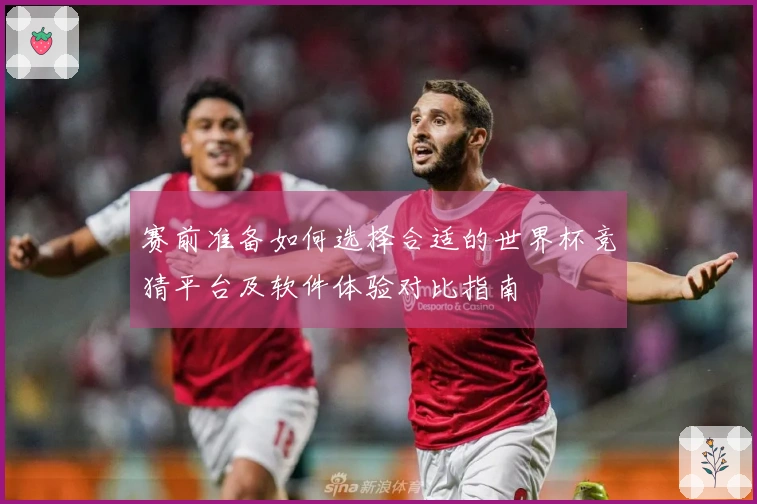 赛前准备如何选择合适的世界杯竞猜平台及软件体验对比指南