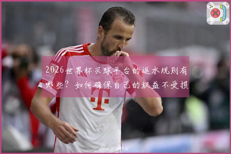 2026世界杯买球平台的返水规则有哪些？如何确保自己的权益不受损？
