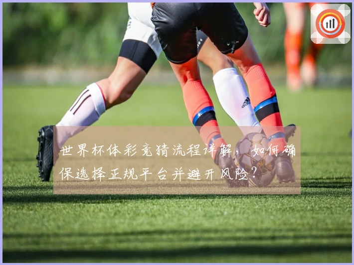 世界杯体彩竞猜流程详解，如何确保选择正规平台并避开风险？