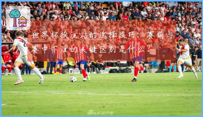 世界杯投注站的选择技巧：赛前与赛中下注的关键区别是什么？