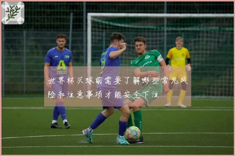 世界杯买球前需要了解哪些常见风险和注意事项才能安全下注