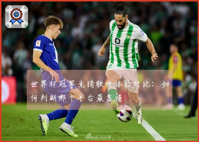 世界杯冠军竞猜软件体验对比：如何判断哪个平台最靠谱