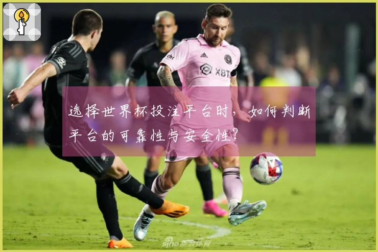 选择世界杯投注平台时，如何判断平台的可靠性与安全性？