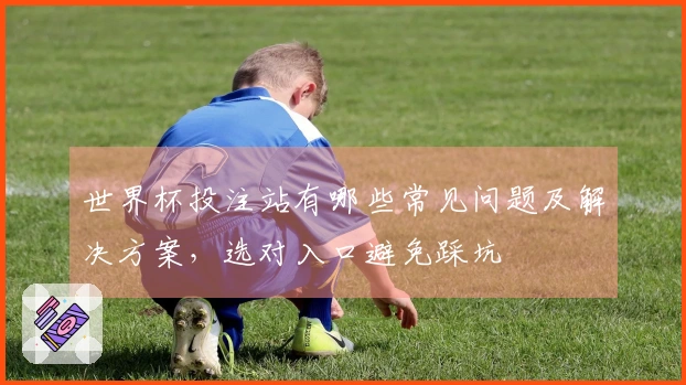 世界杯投注站有哪些常见问题及解决方案，选对入口避免踩坑