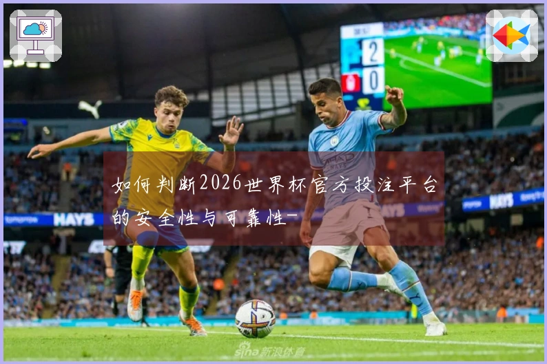 如何判断2026世界杯官方投注平台的安全性与可靠性-