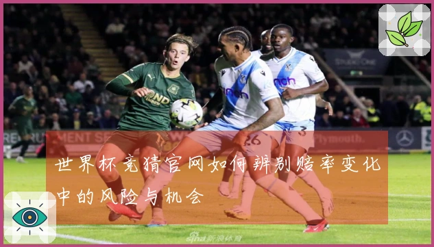世界杯竞猜官网如何辨别赔率变化中的风险与机会