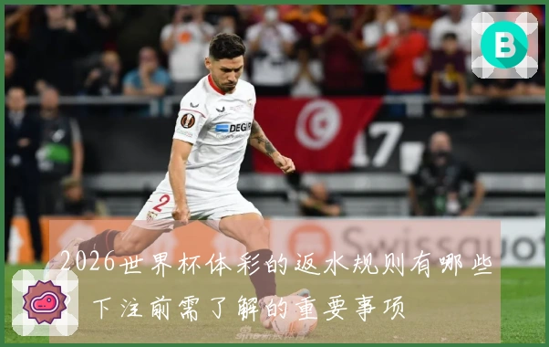 2026世界杯体彩的返水规则有哪些？下注前需了解的重要事项