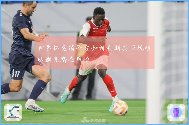 世界杯竞猜平台如何判断其正规性以避免潜在风险