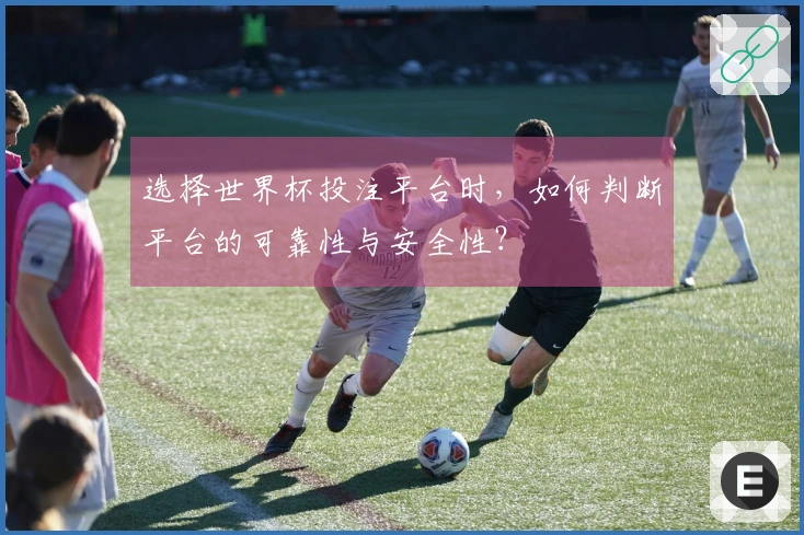 选择世界杯投注平台时，如何判断平台的可靠性与安全性？