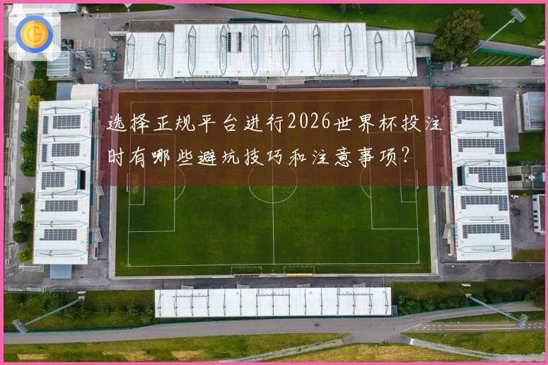 选择正规平台进行2026世界杯投注时有哪些避坑技巧和注意事项？